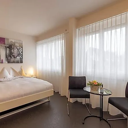 Baeren Hotel *