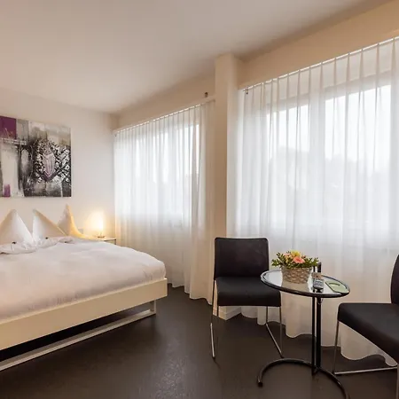 Baeren Hotel *